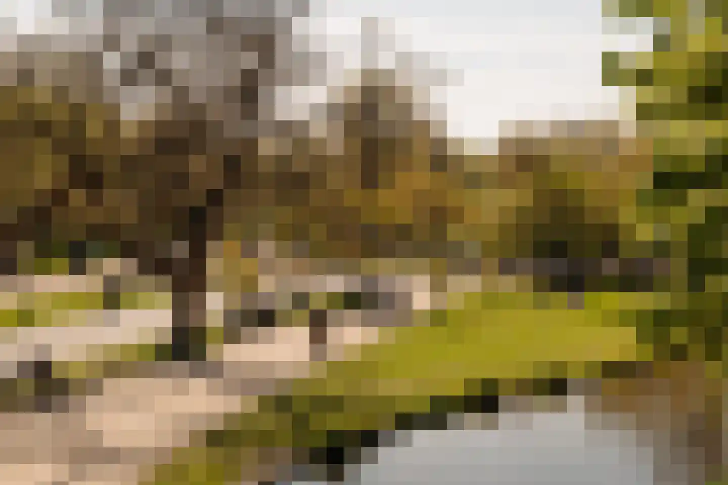 Roemer Visscherstraat 9 Amsterdam thumbnail 63