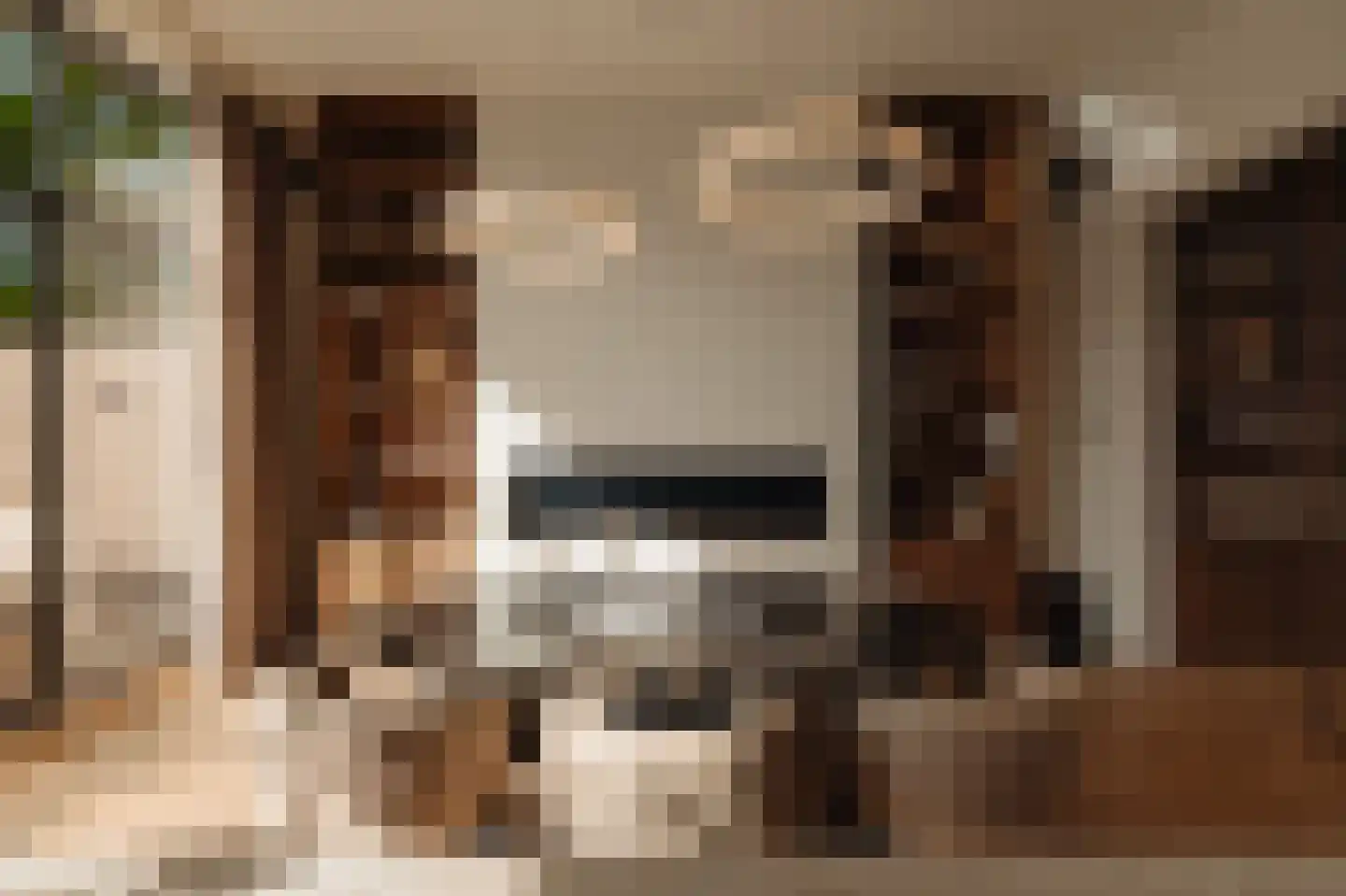 Roemer Visscherstraat 9 Amsterdam thumbnail 9