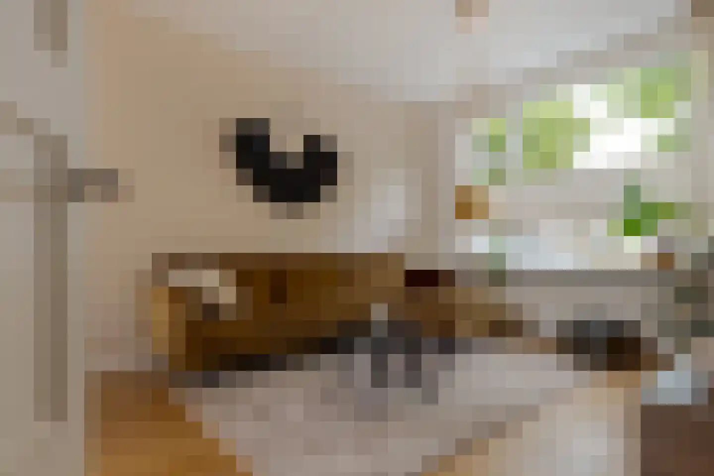 Roemer Visscherstraat 9 Zwolle thumbnail 10