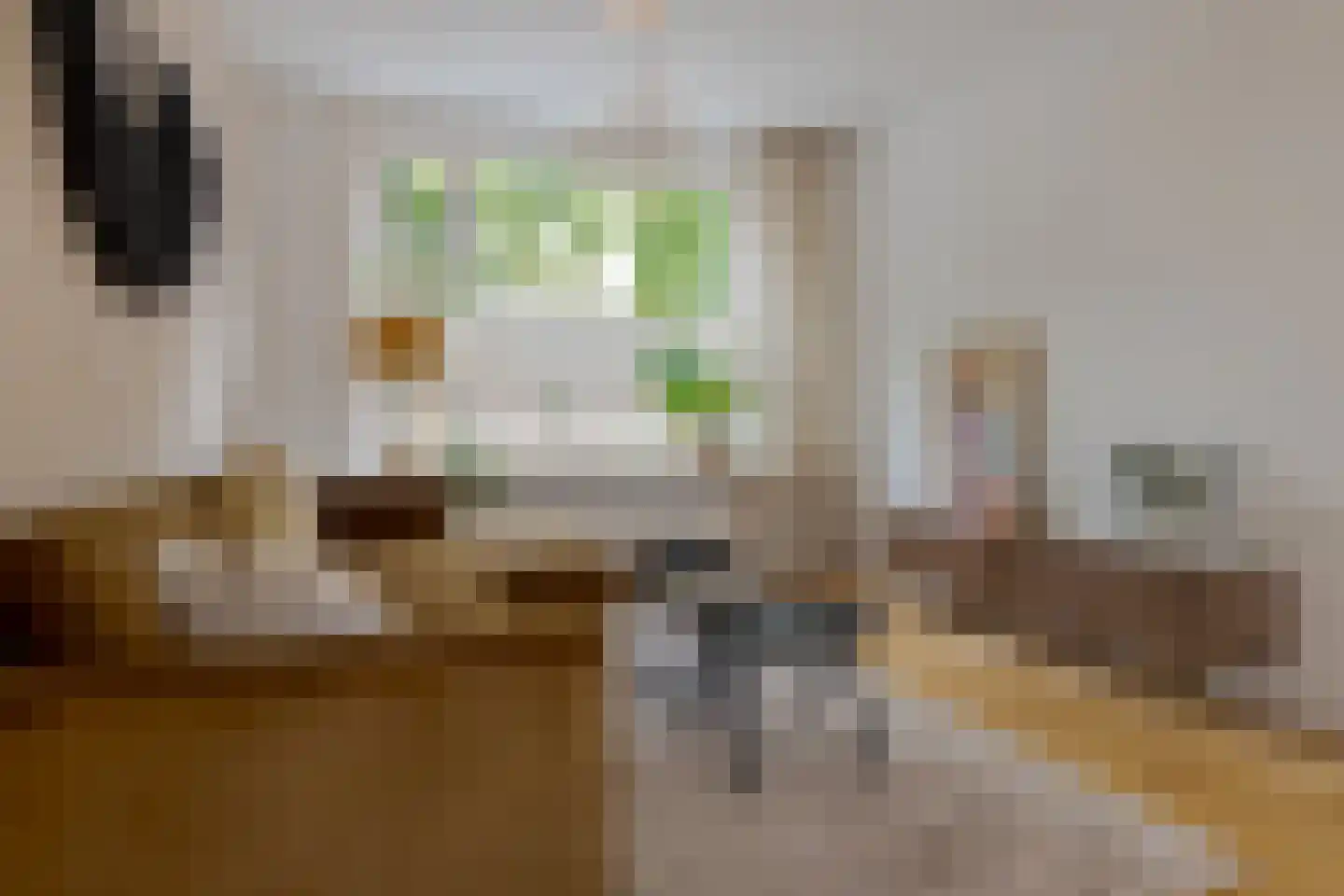 Roemer Visscherstraat 9 Zwolle thumbnail 12