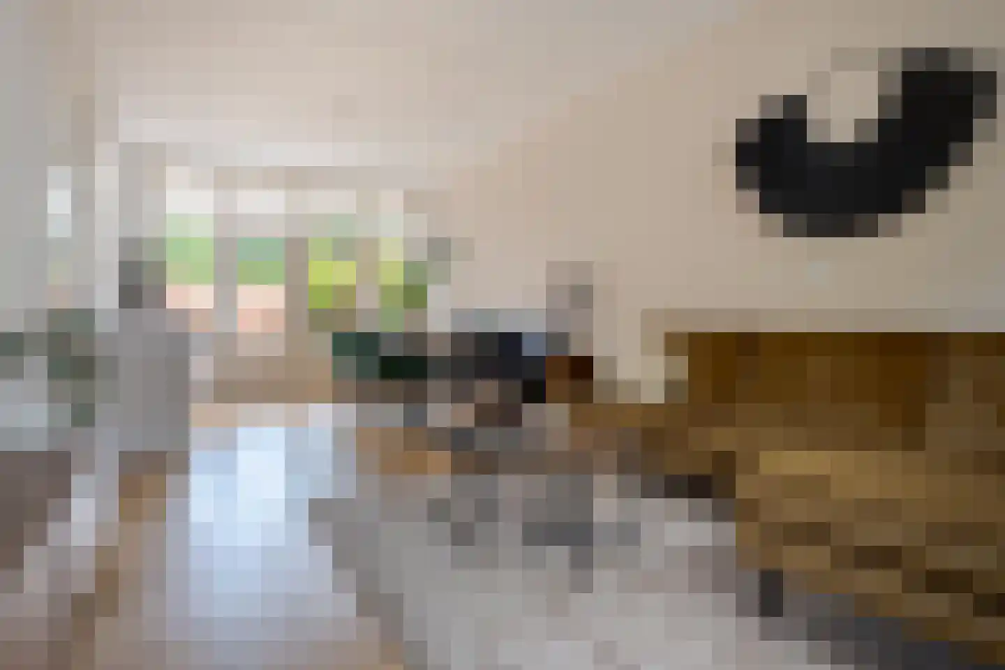 Roemer Visscherstraat 9 Zwolle thumbnail 13