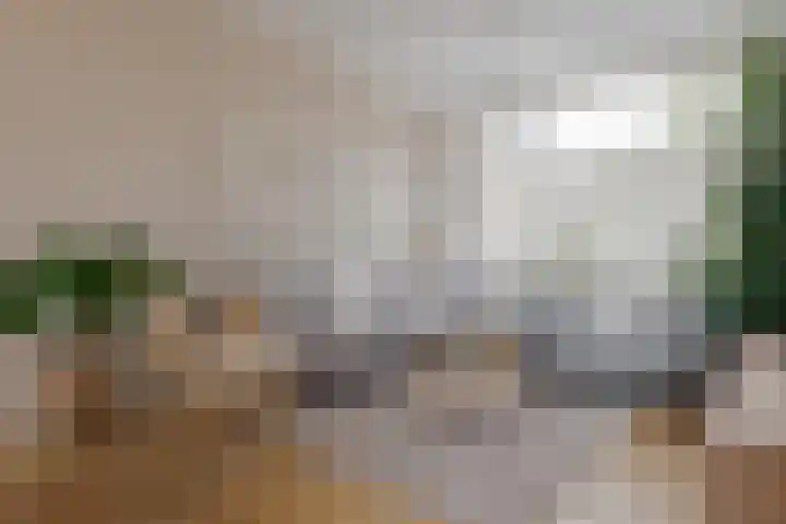 Roemer Visscherstraat 9 Zwolle thumbnail 14