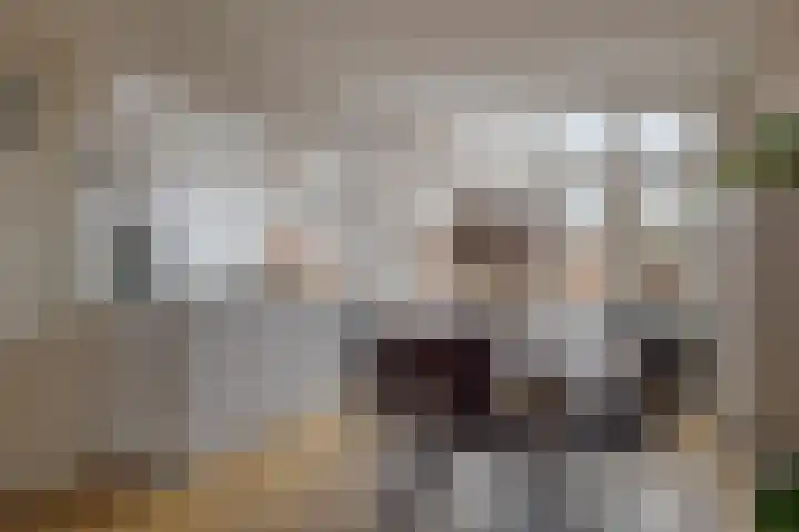 Roemer Visscherstraat 9 Zwolle thumbnail 17
