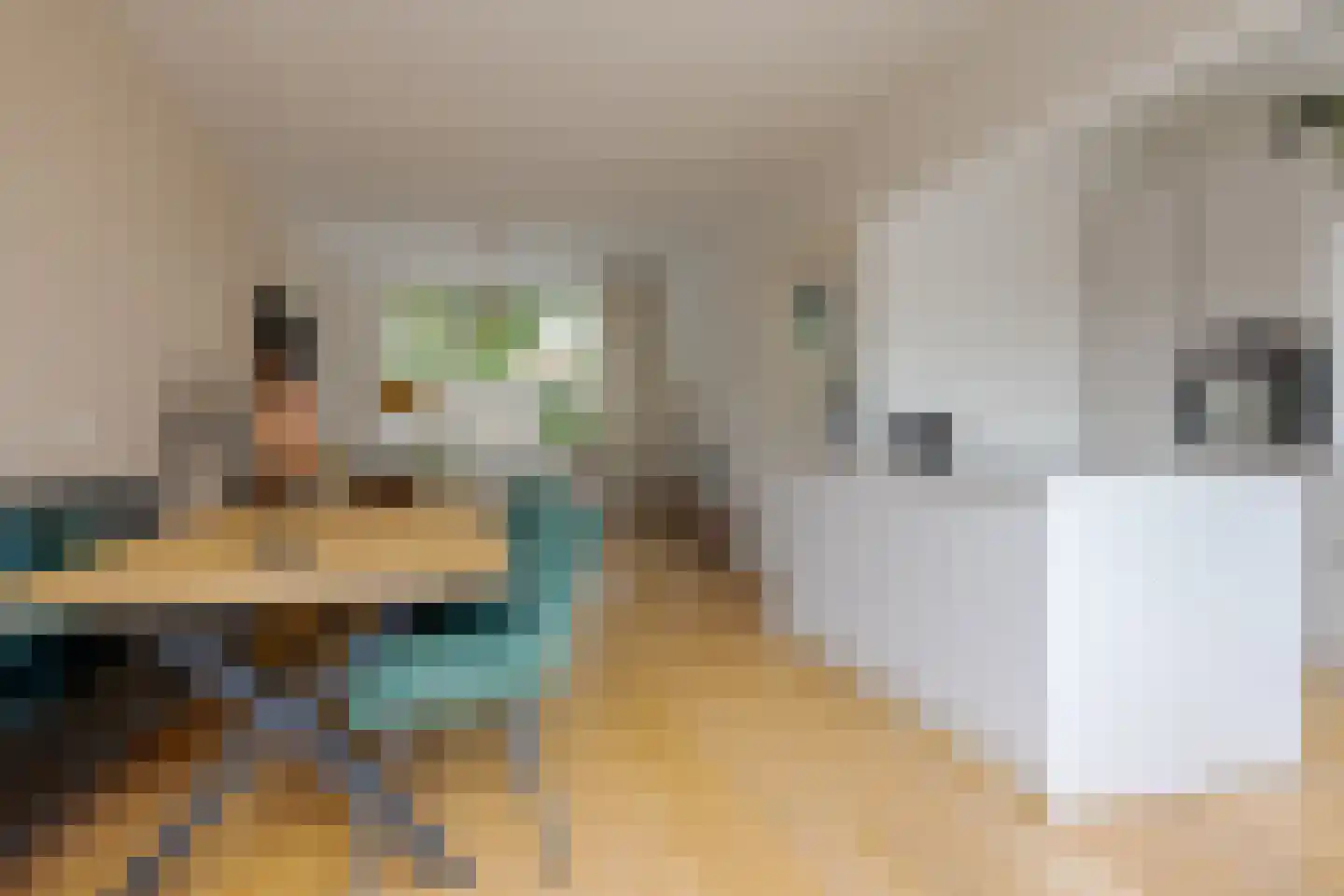 Roemer Visscherstraat 9 Zwolle thumbnail 17
