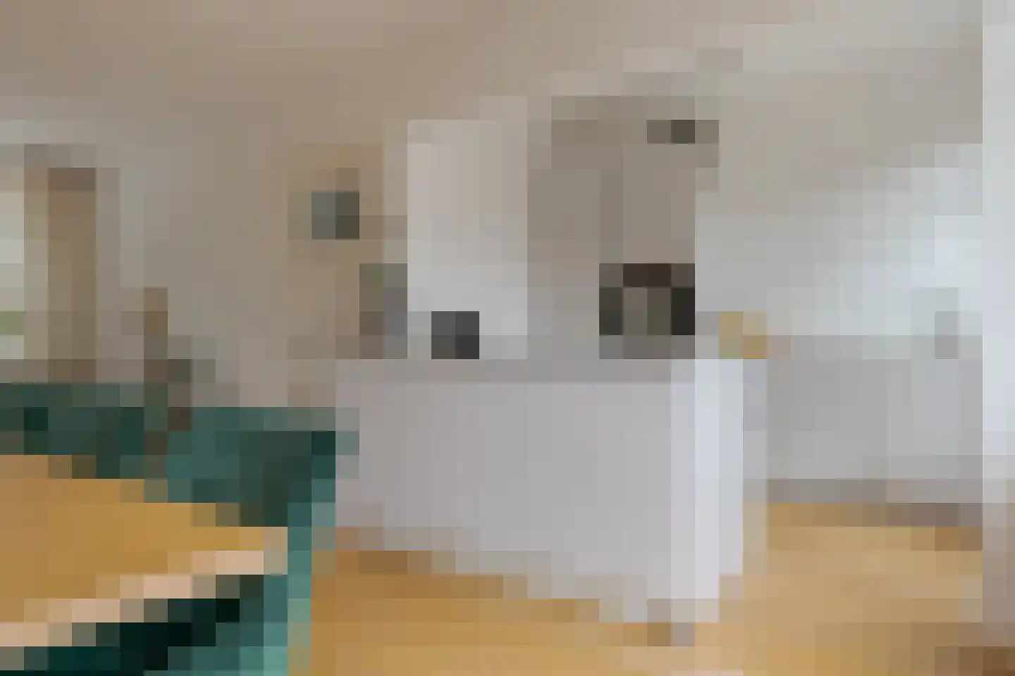 Roemer Visscherstraat 9 Zwolle thumbnail 18