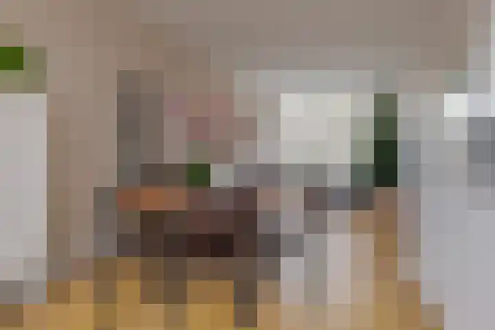 Roemer Visscherstraat 9 Zwolle thumbnail 18