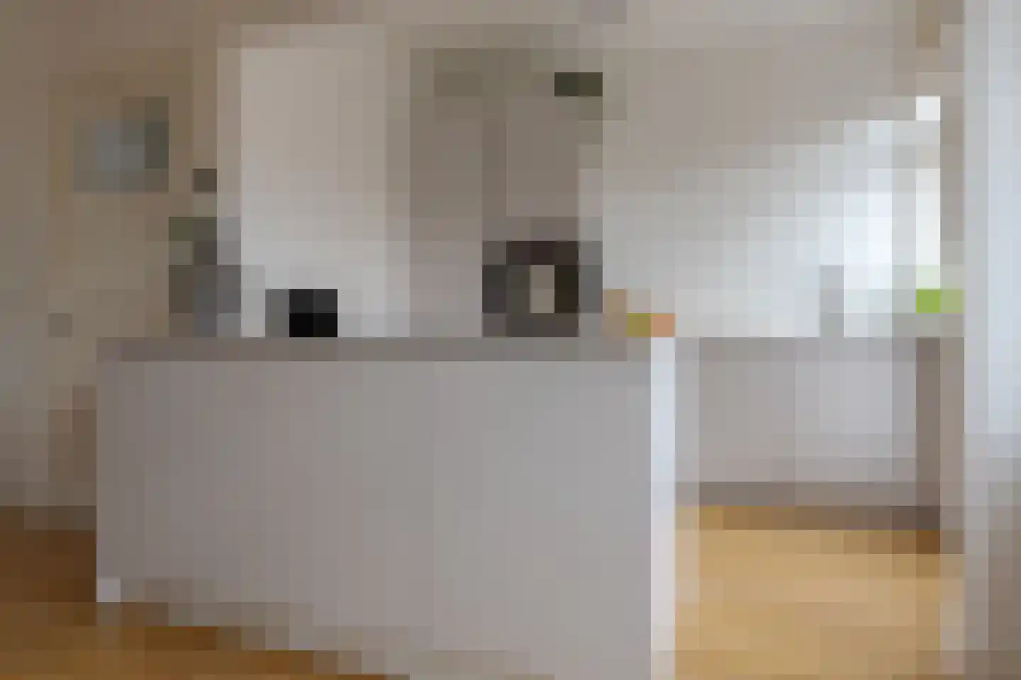 Roemer Visscherstraat 9 Zwolle thumbnail 19