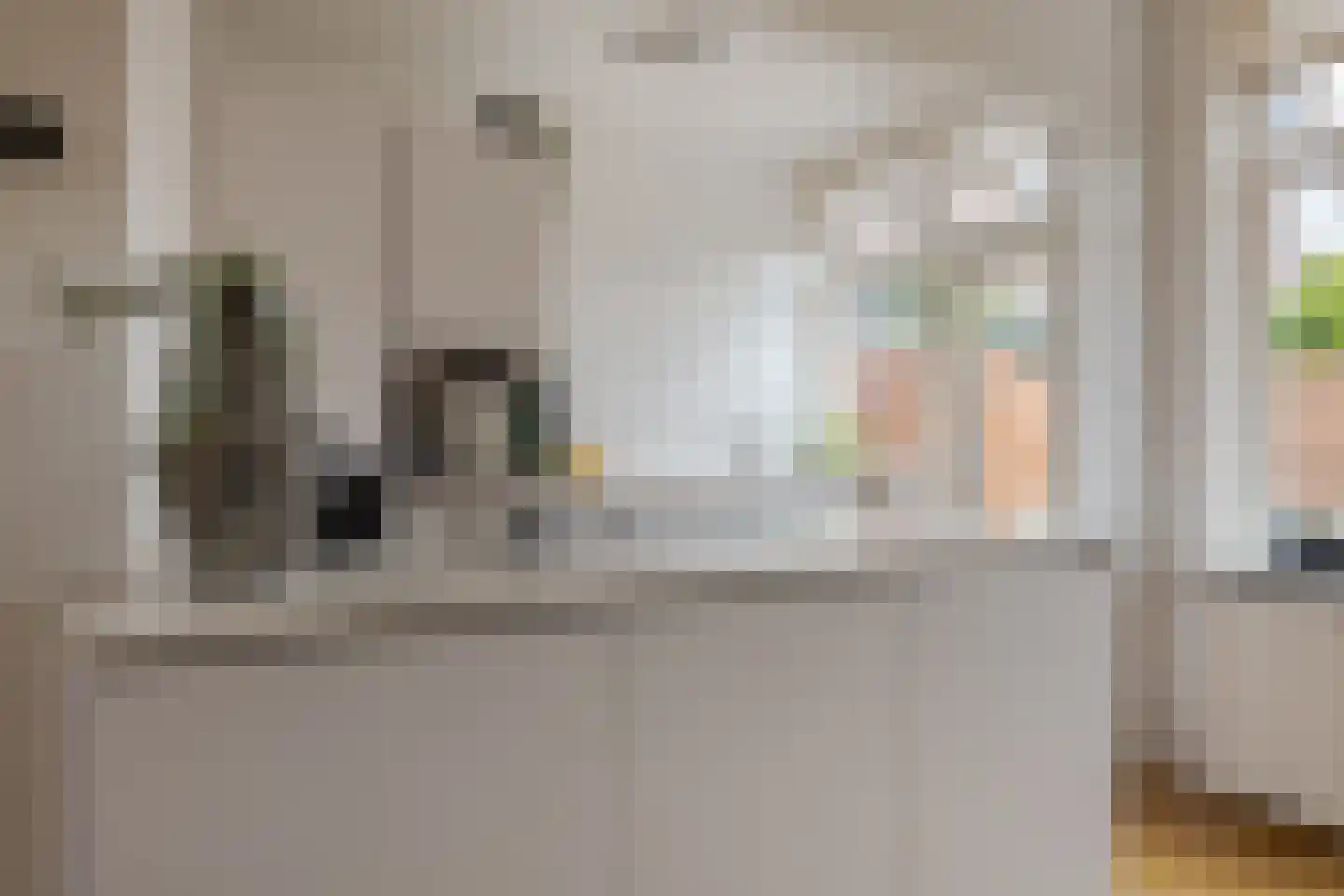 Roemer Visscherstraat 9 Zwolle thumbnail 20