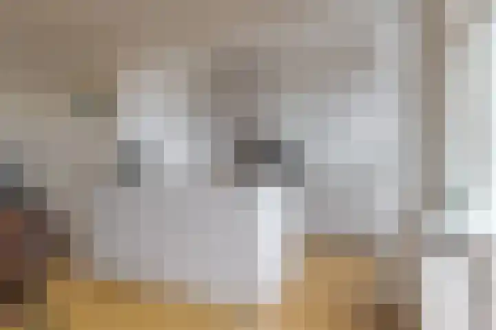 Roemer Visscherstraat 9 Zwolle thumbnail 20