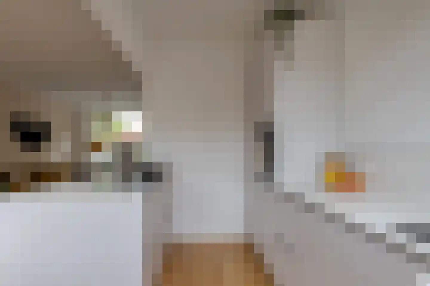 Roemer Visscherstraat 9 Zwolle thumbnail 22