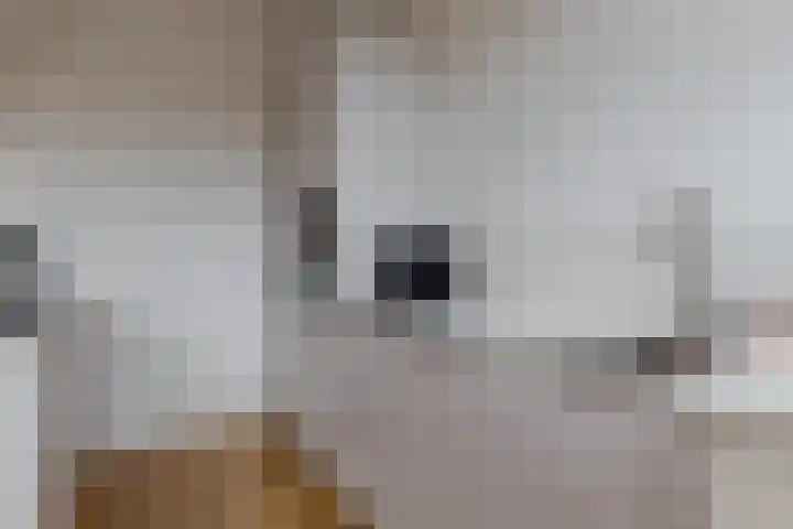 Roemer Visscherstraat 9 Zwolle thumbnail 23