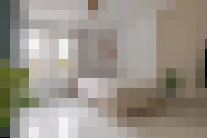 Roemer Visscherstraat 9 Zwolle thumbnail 33