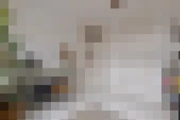 Roemer Visscherstraat 9 Zwolle thumbnail 38
