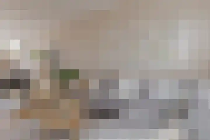 Roemer Visscherstraat 9 Zwolle thumbnail 4