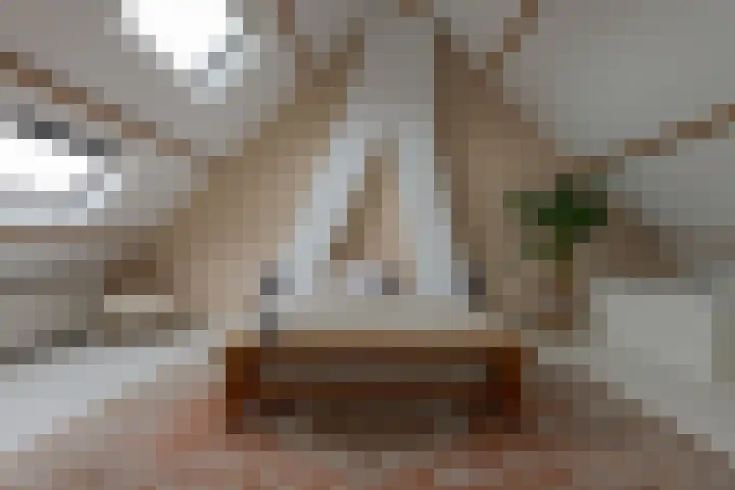 Roemer Visscherstraat 9 Zwolle thumbnail 4