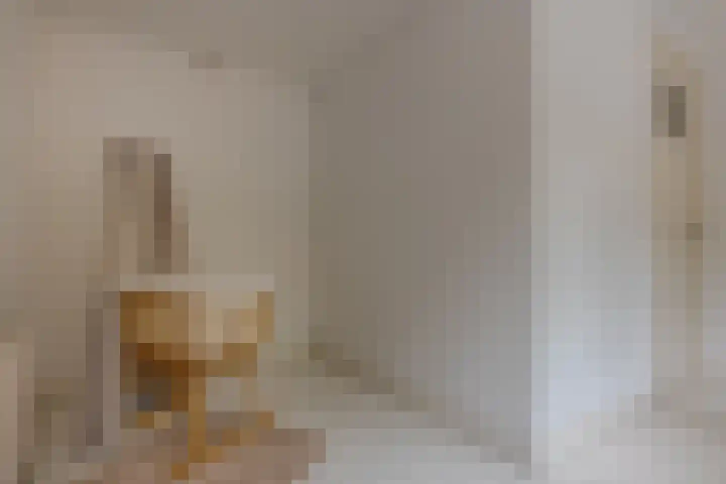 Roemer Visscherstraat 9 Zwolle thumbnail 41