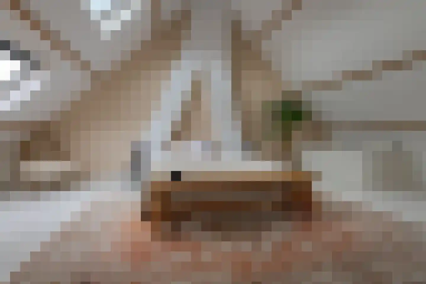 Roemer Visscherstraat 9 Zwolle thumbnail 44