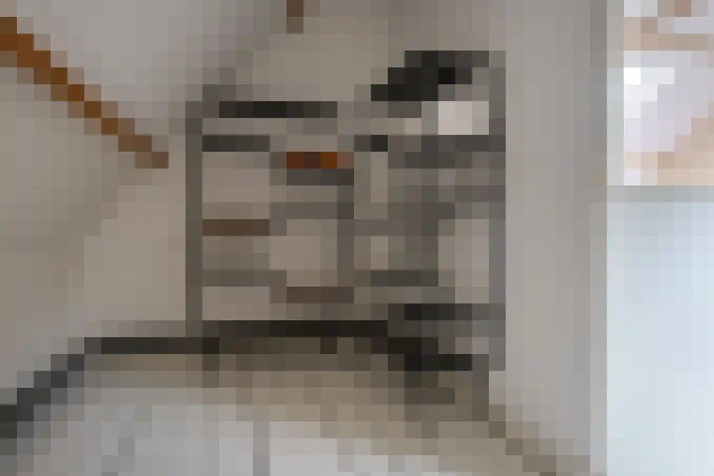 Roemer Visscherstraat 9 Zwolle thumbnail 49