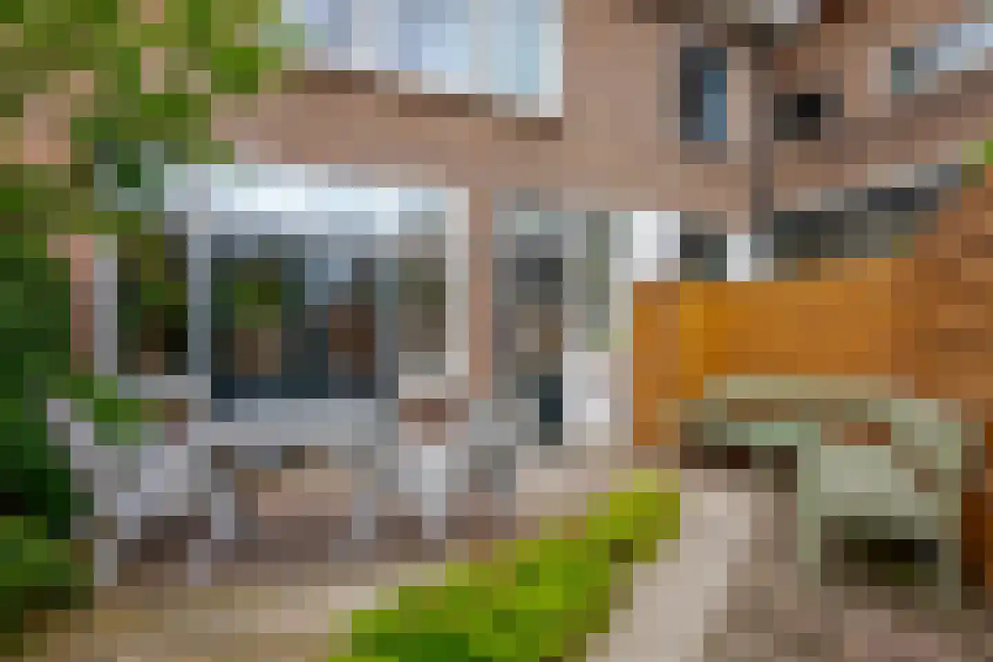 Roemer Visscherstraat 9 Zwolle thumbnail 5