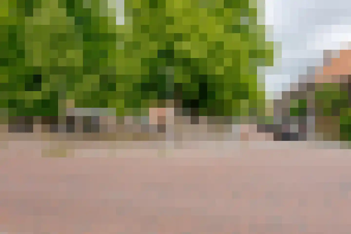 Roemer Visscherstraat 9 Zwolle thumbnail 55