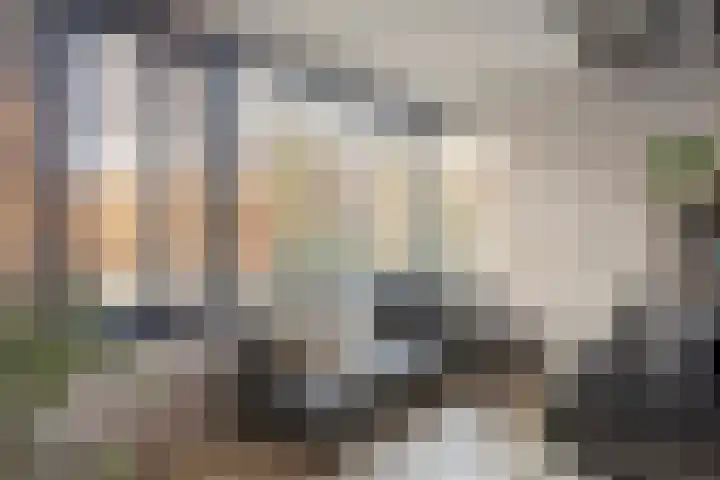Roemereiland 24 Oostzaan thumbnail 22