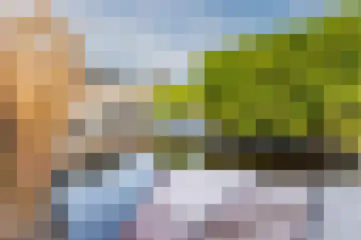 Roemereiland 24 Oostzaan thumbnail 63