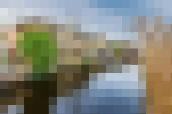 Roemereiland 24 Oostzaan thumbnail 64