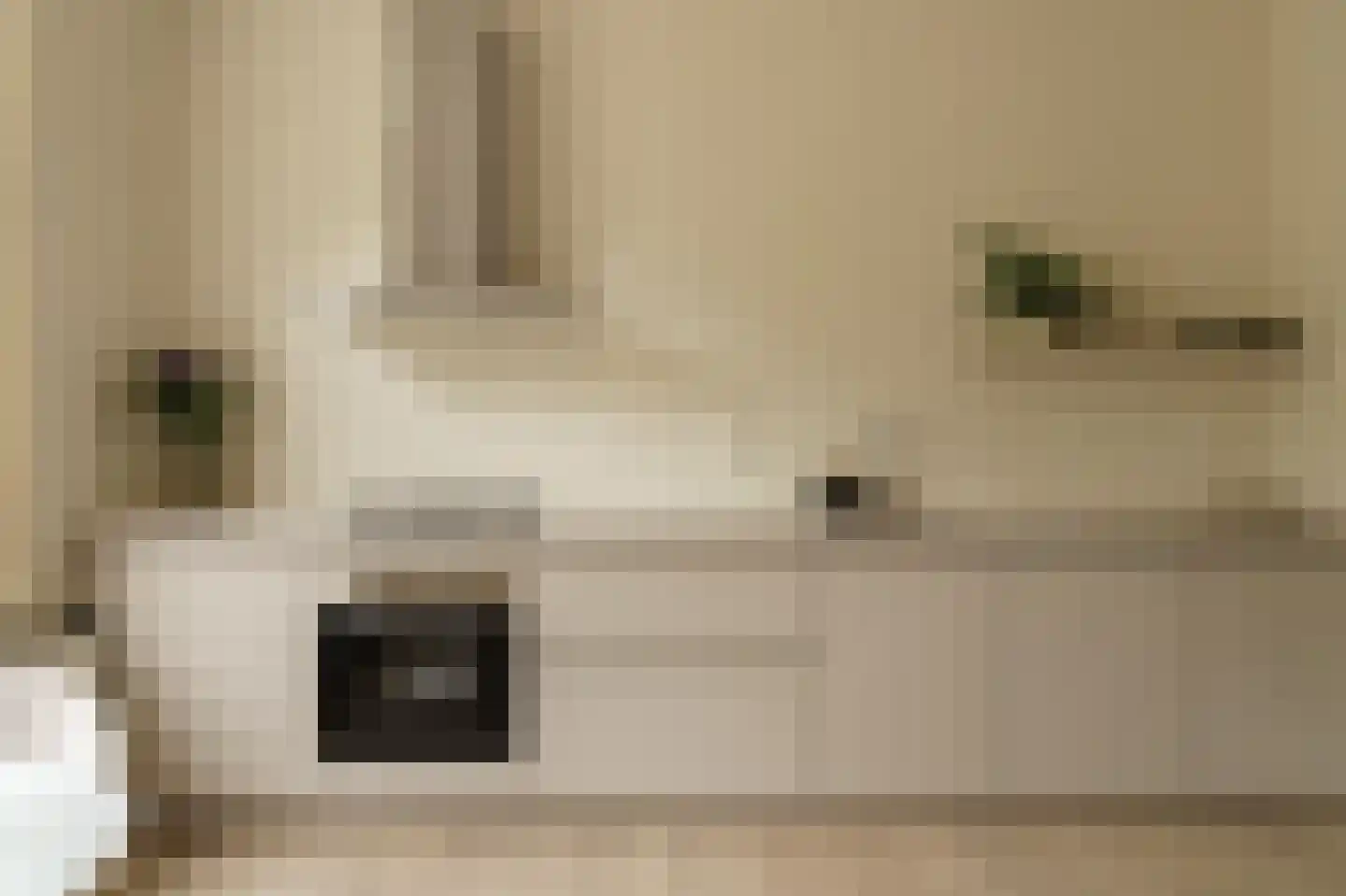 Roemerhof 13 Tilburg thumbnail 5