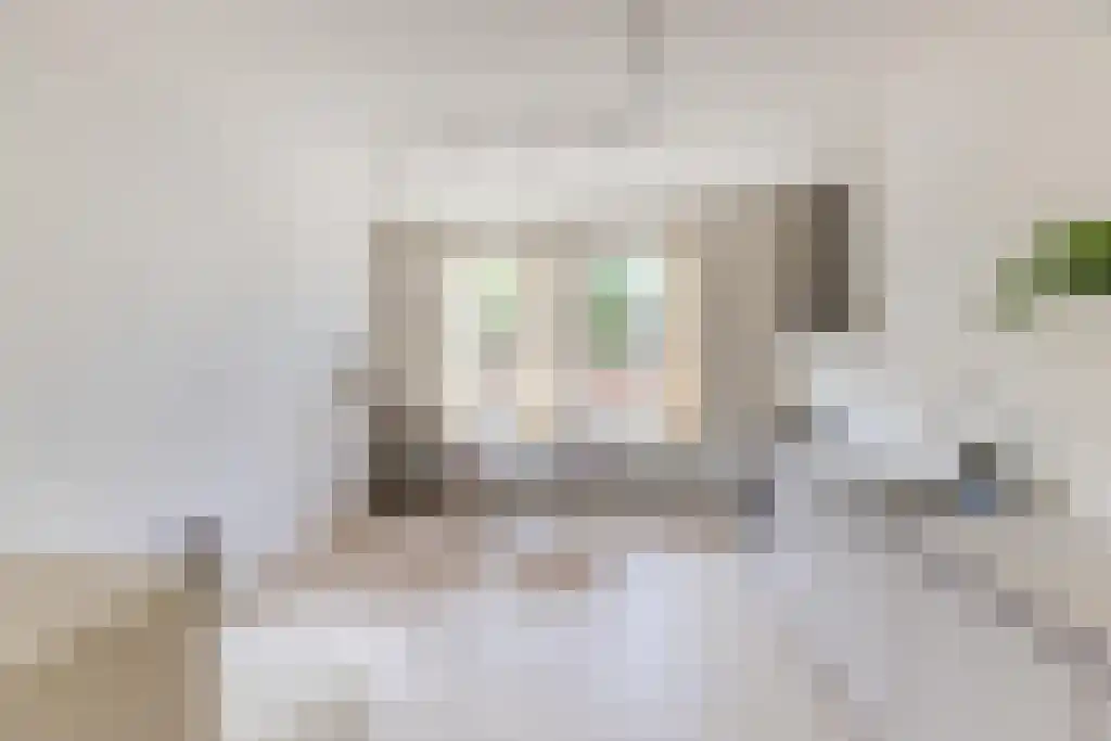 Roemerhof 15 Tilburg thumbnail 5