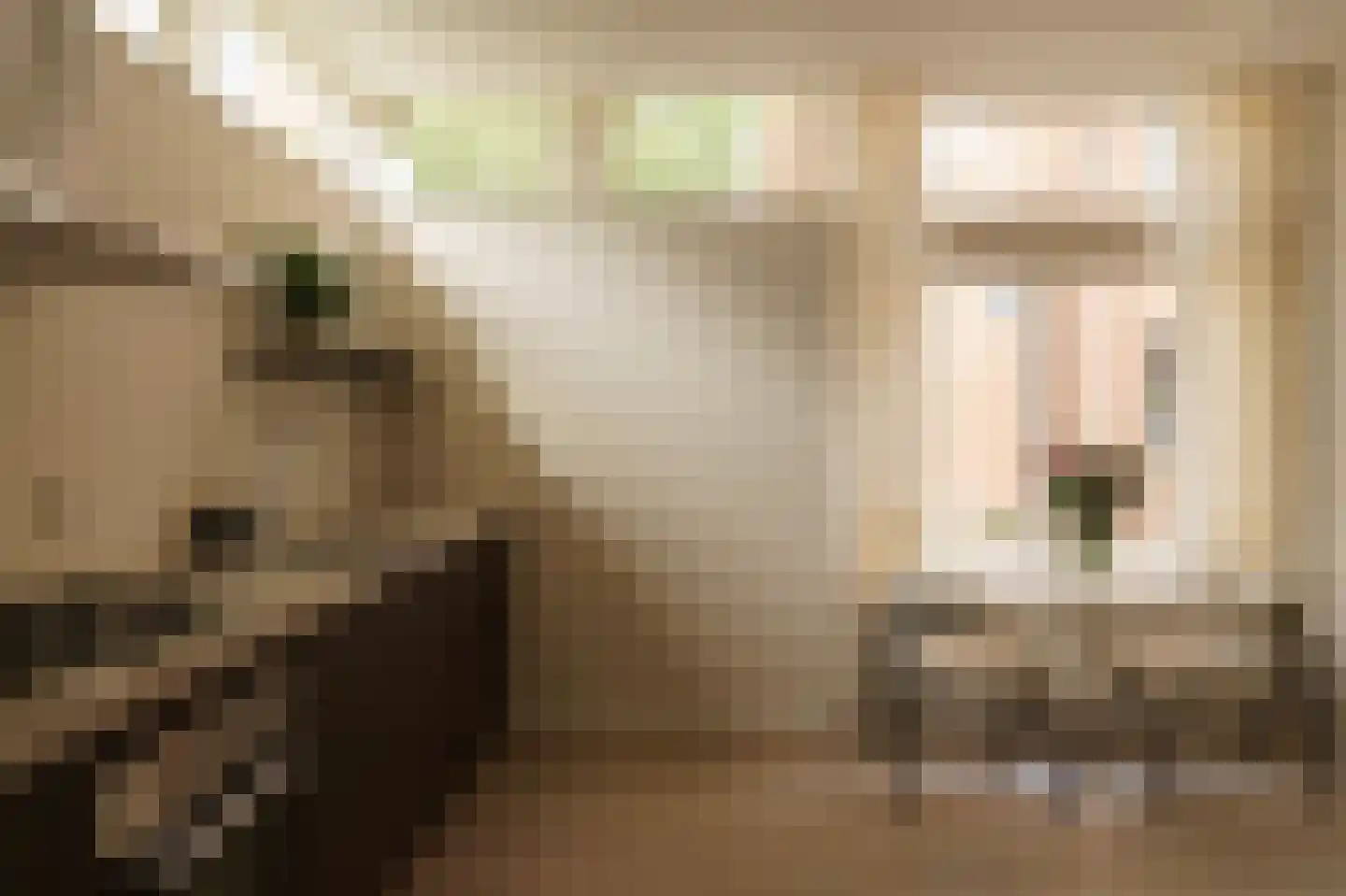 Roemerhof 5 in Tilburg
