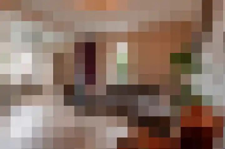 Roemershof 9 Tricht thumbnail 14