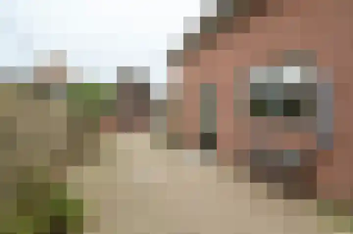 Roemershof 9 Tricht foto 3
