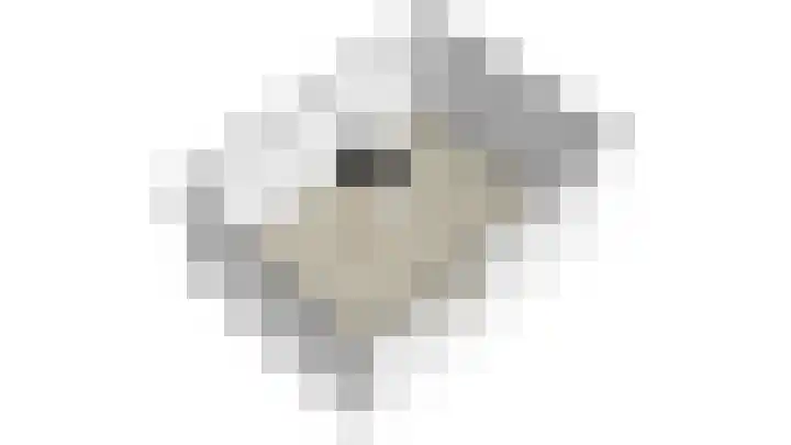 Roemershof 9 Tricht thumbnail 42