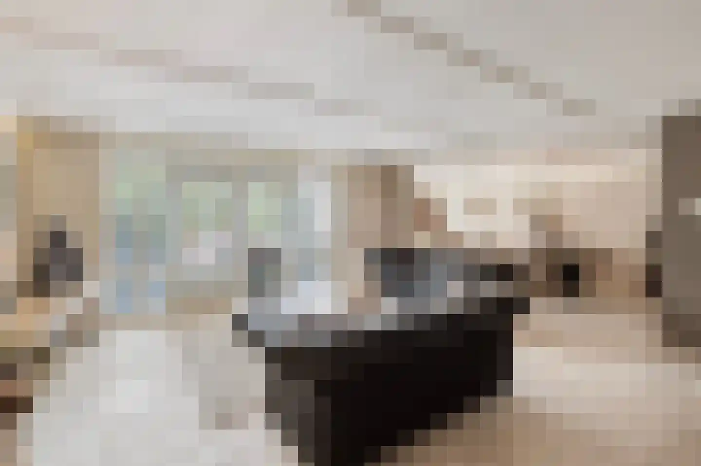 Roentgenhaven 5 Barendrecht thumbnail 4