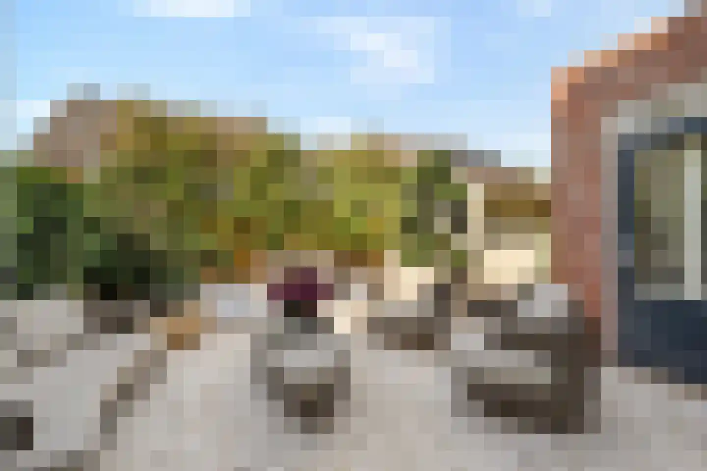 Roentgenhaven 5 Barendrecht thumbnail 42