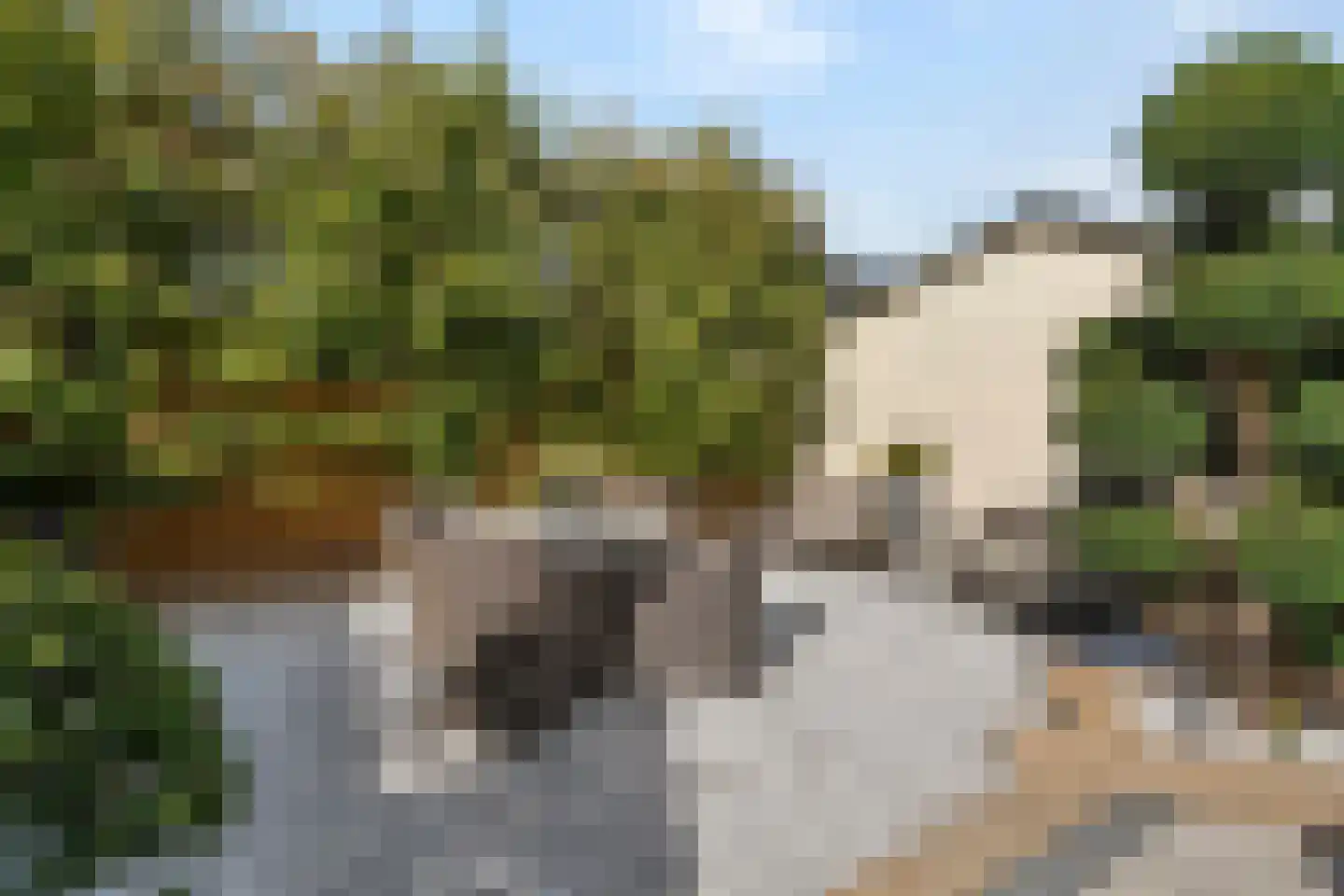 Roentgenhaven 5 Barendrecht thumbnail 43
