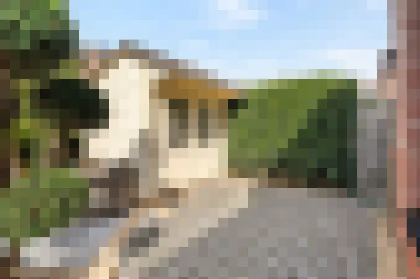 Roentgenhaven 5 Barendrecht thumbnail 44
