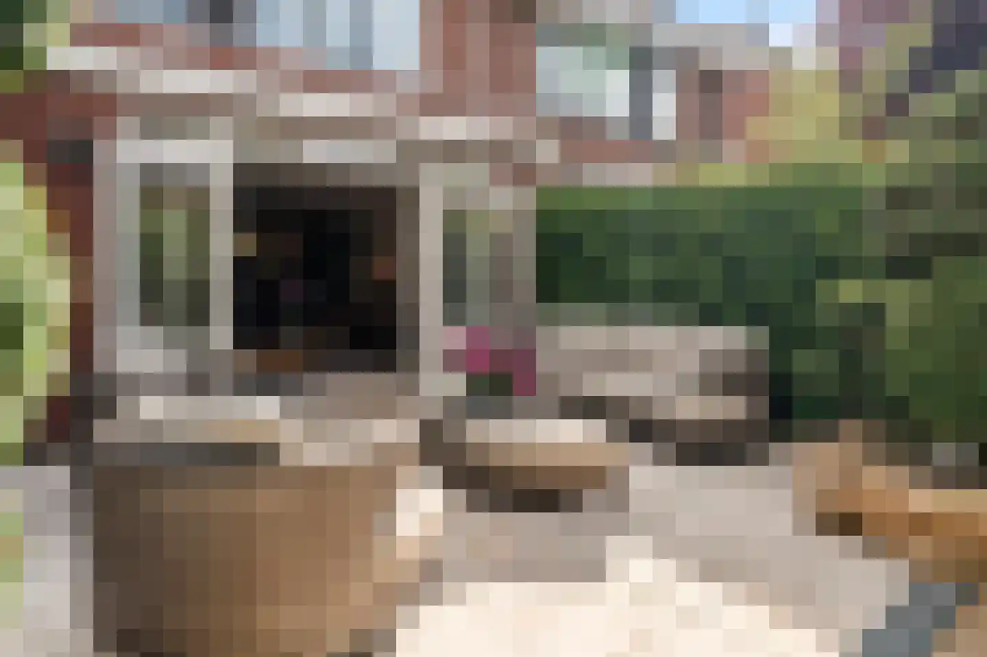 Roentgenhaven 5 Barendrecht thumbnail 46