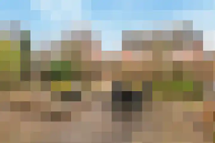 Roentgenhaven 6 Barendrecht thumbnail 30
