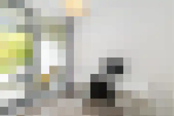 Roentgenstraat 107 Rotterdam thumbnail 16