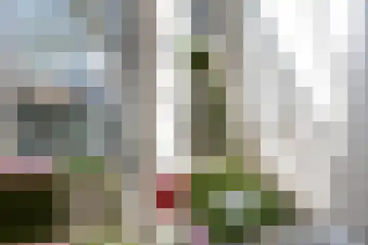 Roentgenstraat 113 Rotterdam thumbnail 16