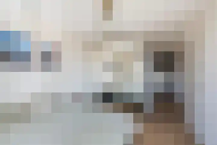 Roentgenstraat 113 Rotterdam thumbnail 20