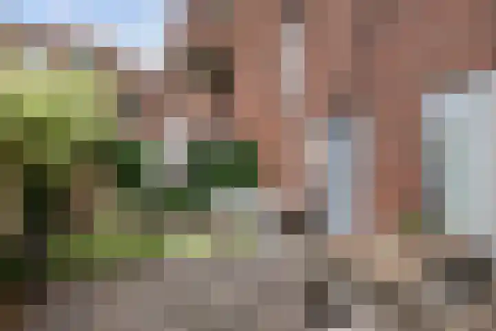 Roentgenstraat 61 Rotterdam thumbnail 12