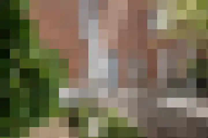 Roentgenstraat 61 Rotterdam thumbnail 13