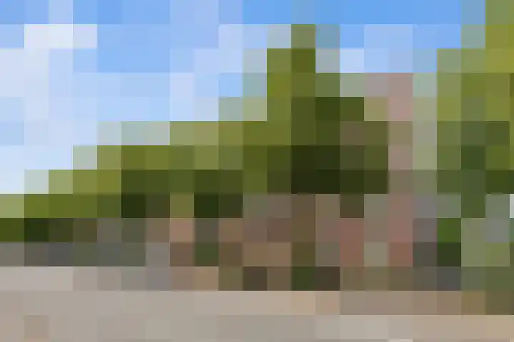 Roentgenstraat 61 Rotterdam thumbnail 6
