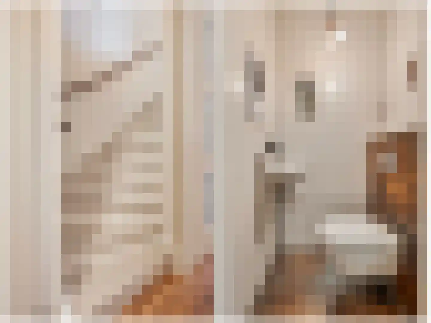Roentgenstraat 73 Rotterdam thumbnail 11