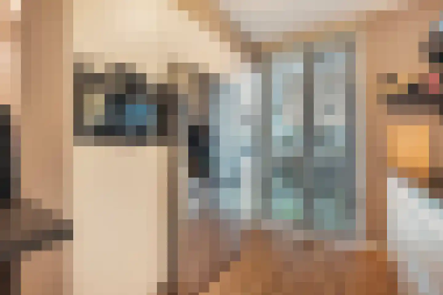 Roentgenstraat 73 Rotterdam thumbnail 16