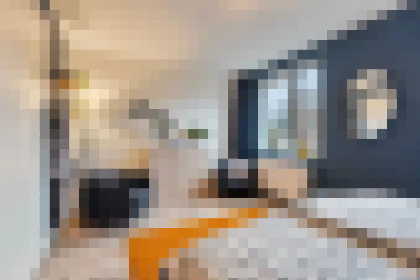 Roentgenstraat 73 Rotterdam thumbnail 27