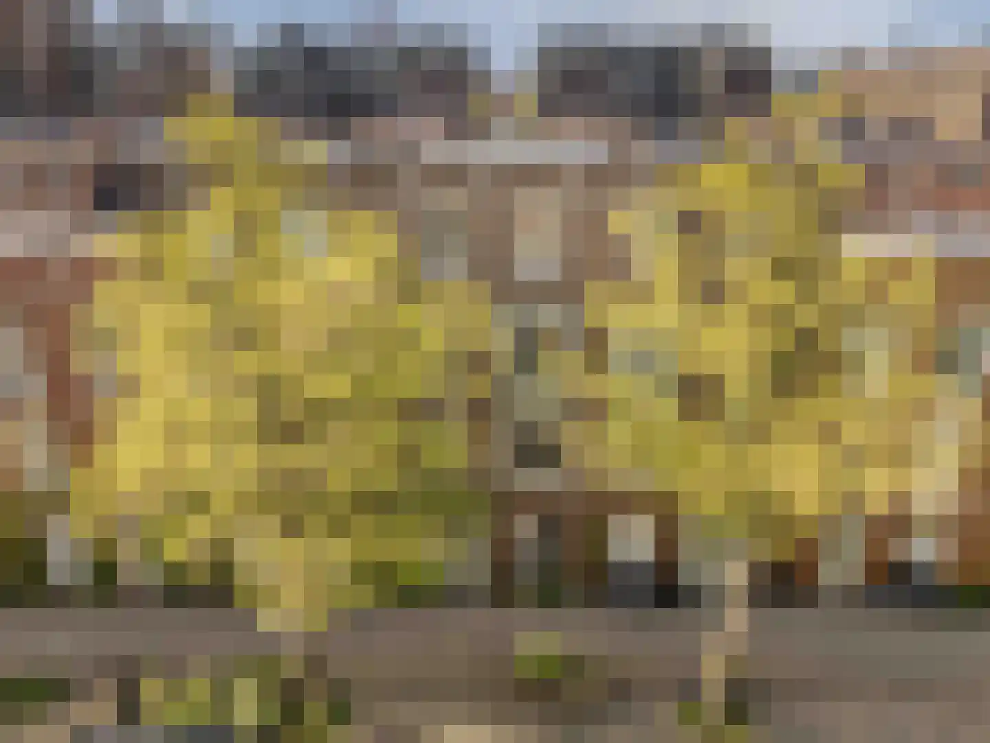 Roentgenstraat 73 Rotterdam thumbnail 7