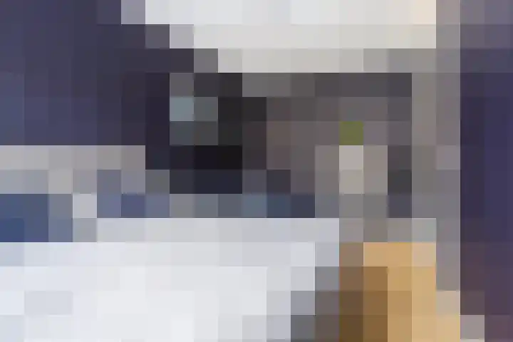 Roentgenstraat 81 Rotterdam thumbnail 11